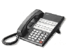 22_button_standard.gif (8175 bytes)